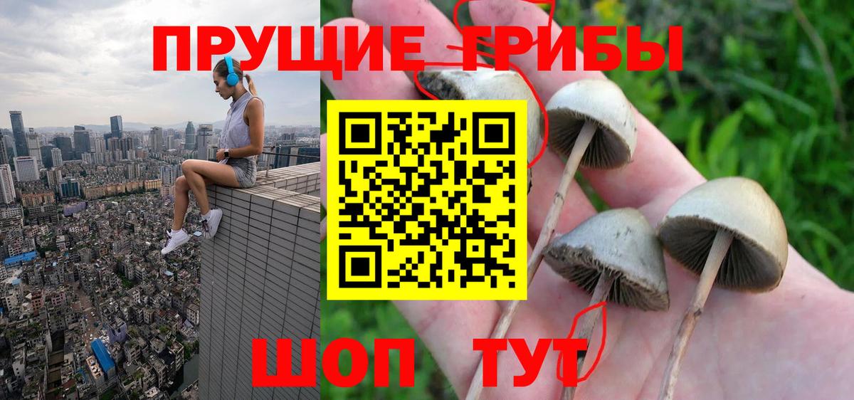 Шали  Псилоцибиновые грибы прущие грибы  Галлюциногенные грибы мицелий  Вход с VPN 